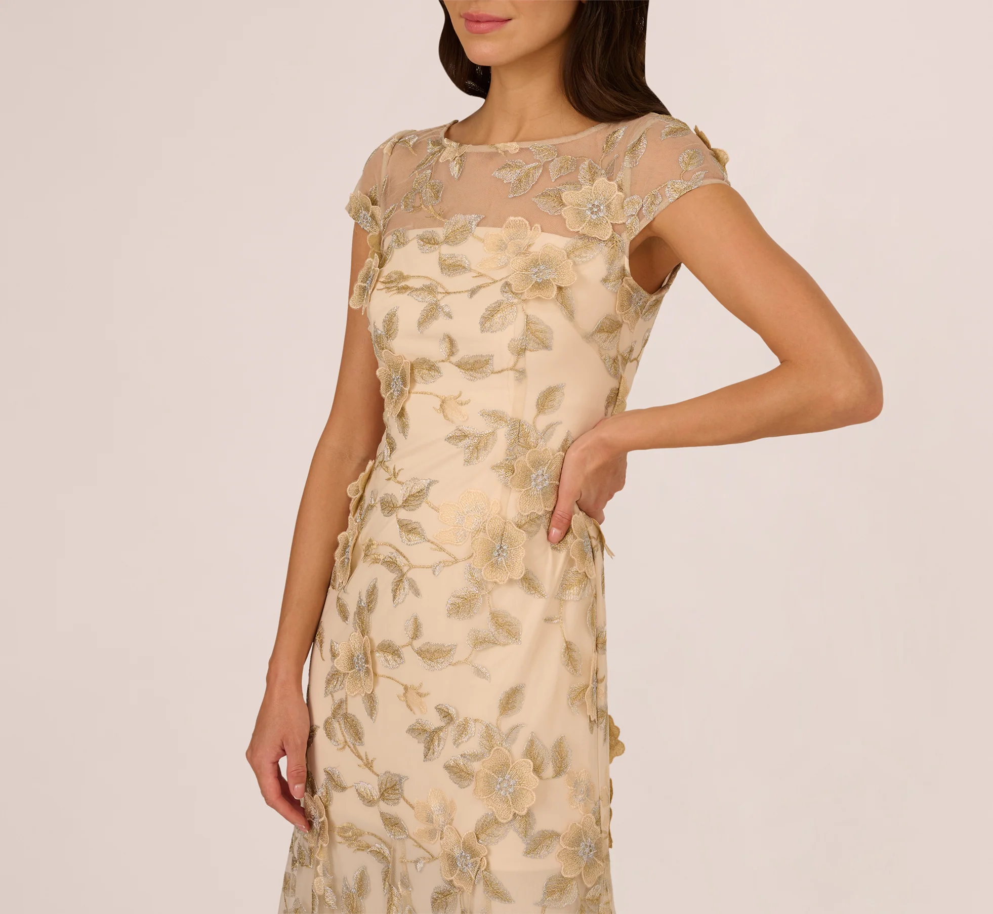 Cap Sleeve Floral Embroidered Illusion Godet Gown In Champagne - Image 3