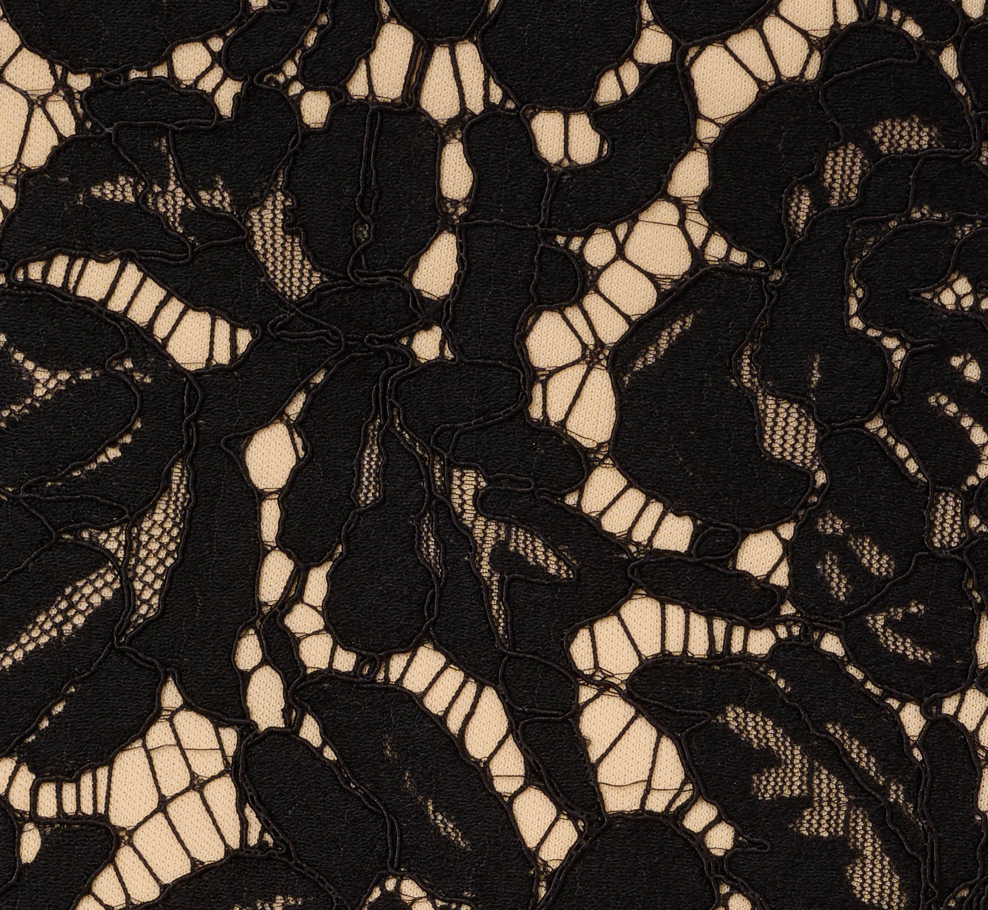Cap Sleeve Lace Cocktail Dress With Feather Trim In Black Nude - Image 6